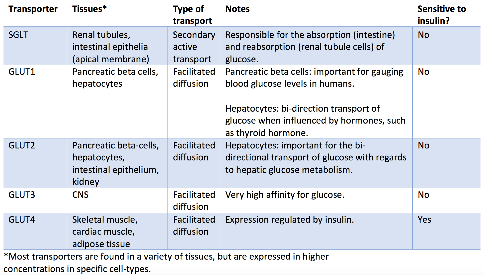 Glucose transporters