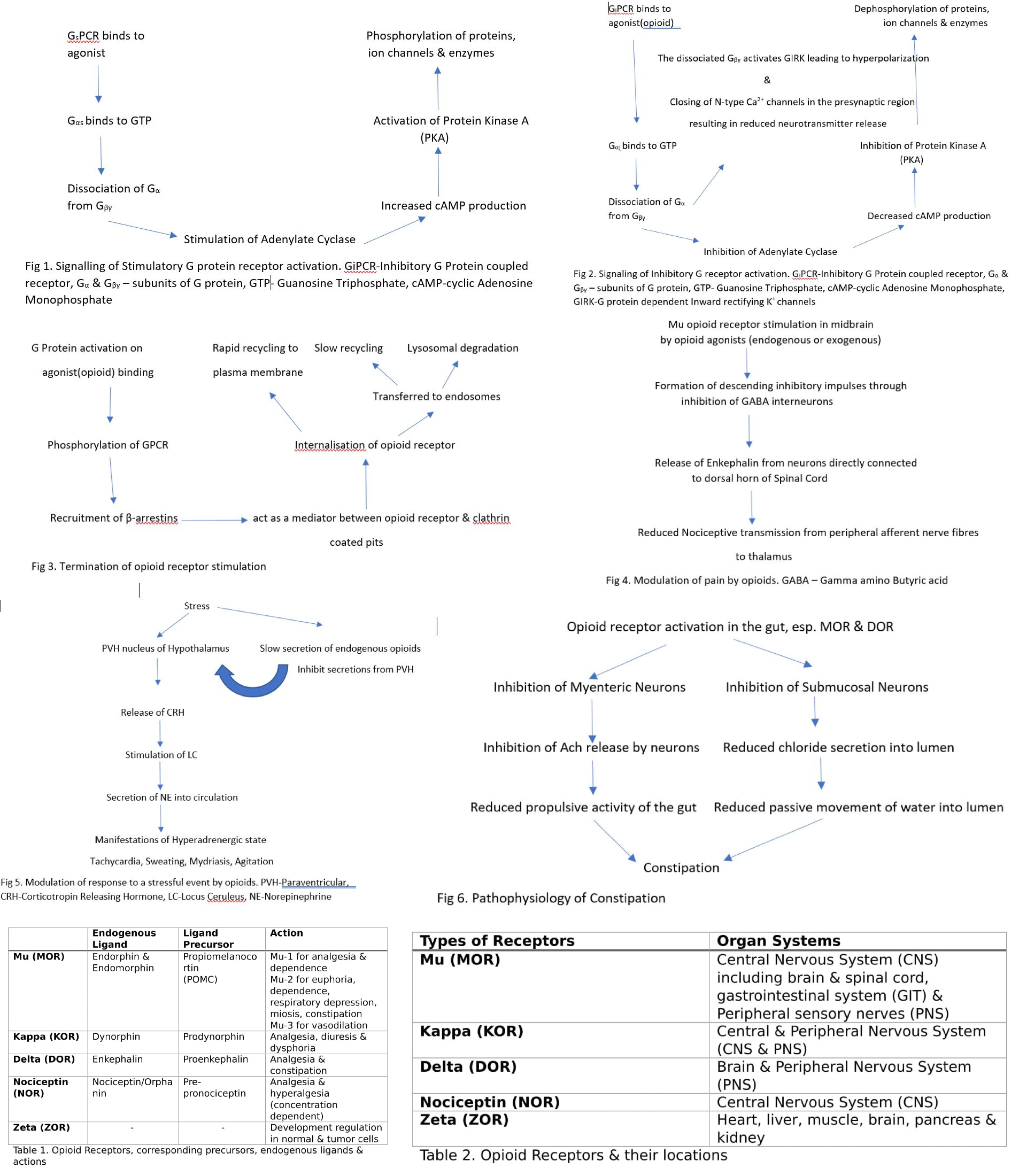 Opioid Receptor Physiology Figures and Tables