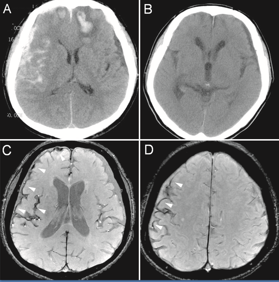 Original description: Figure 2