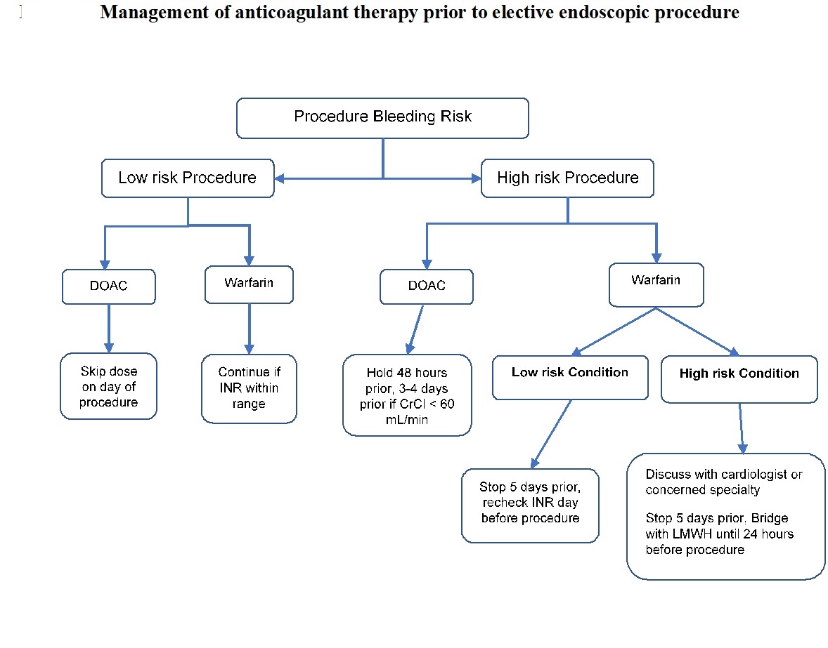 <p>Anticoagulant Therapy Before Elective Endoscopic Procedures