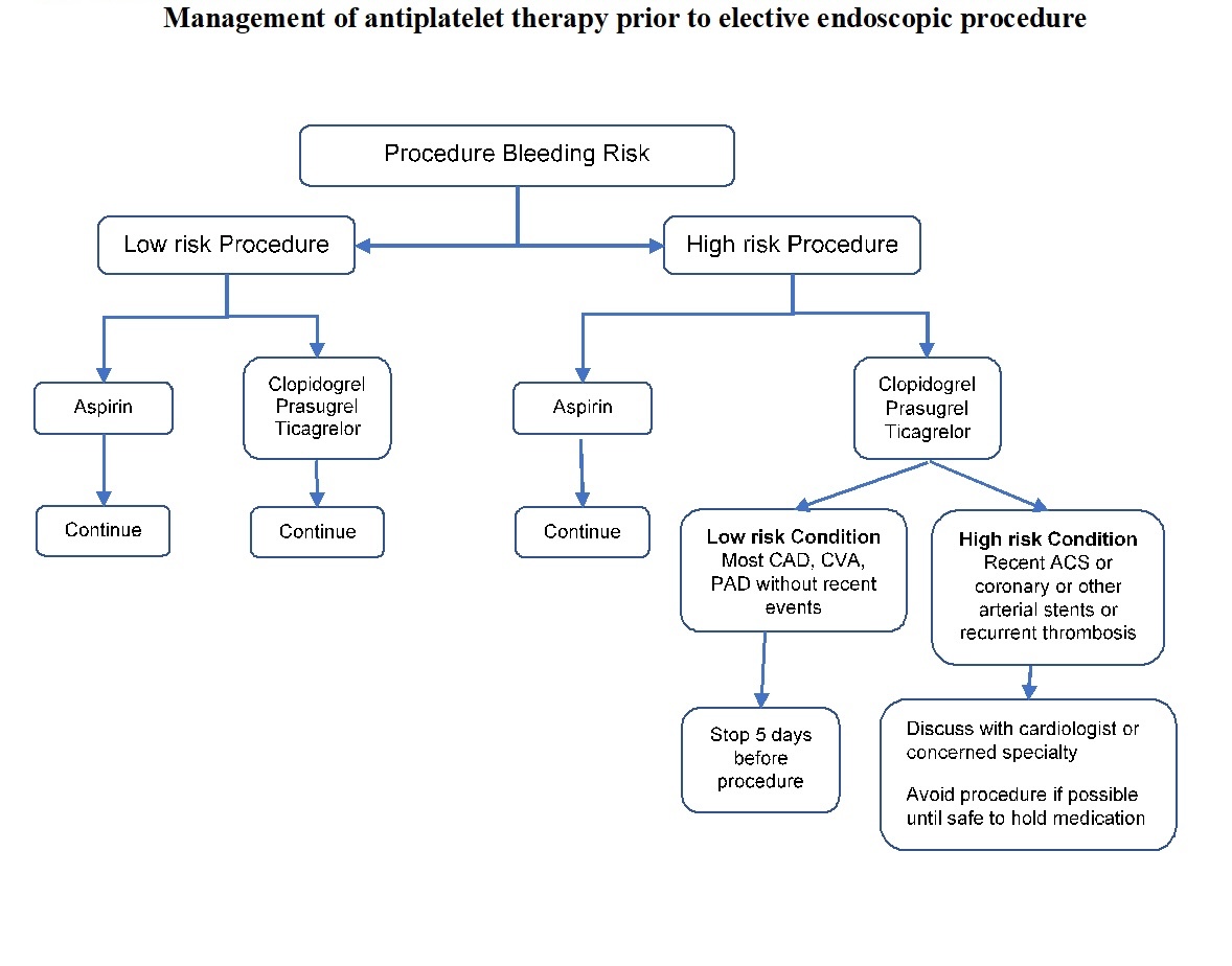 Management of antiplatelet therapy prior to elective endoscopic procedures.