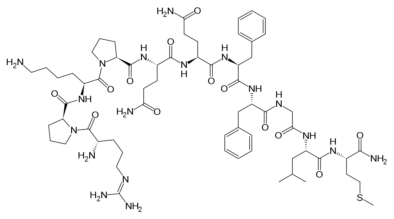 Substance P molecular structure