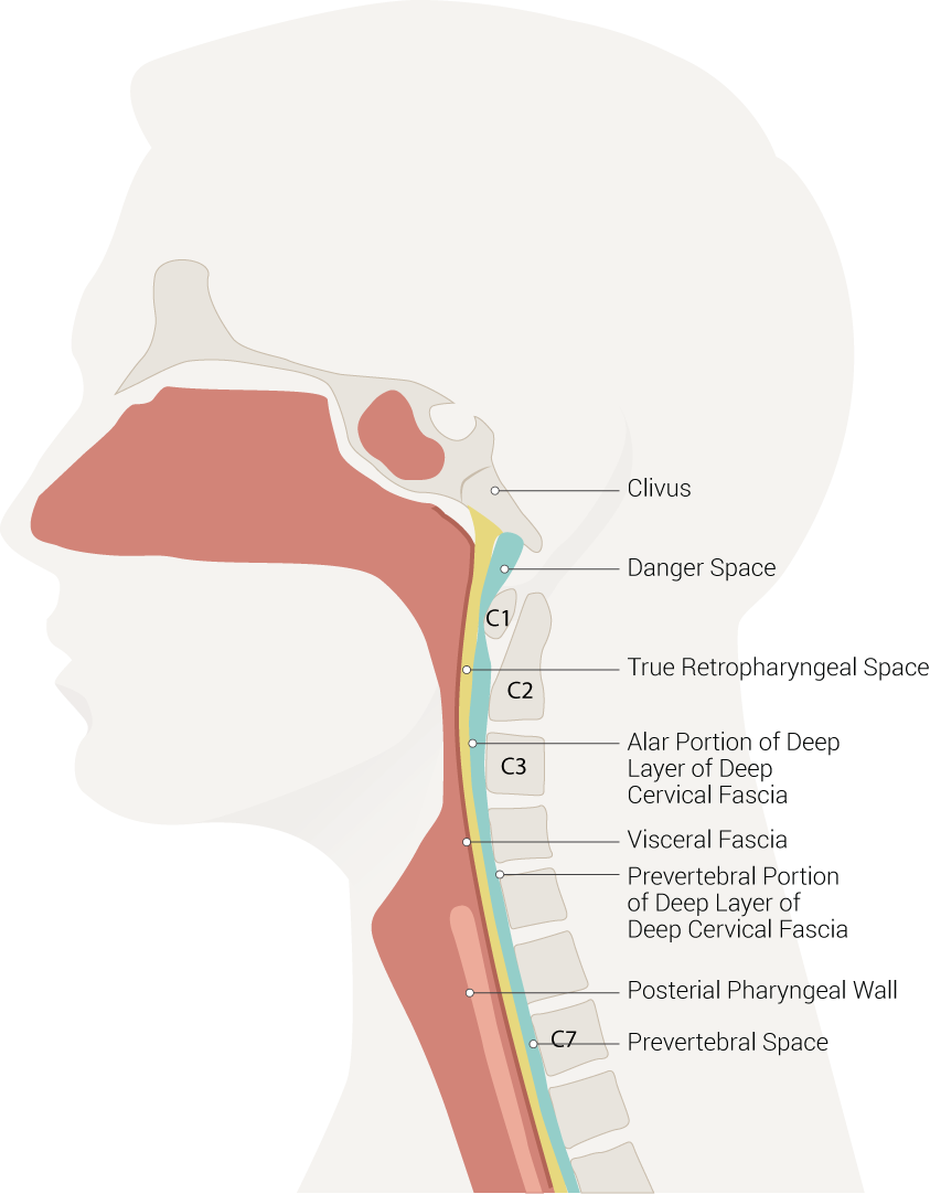 Neck Spaces