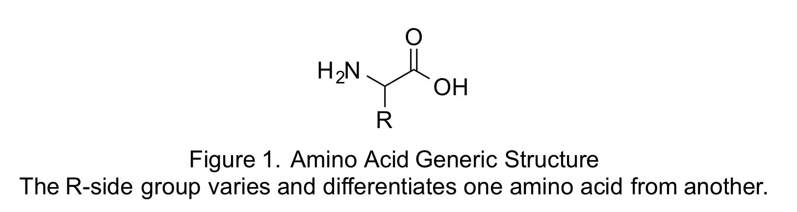 Amino acid generic structure