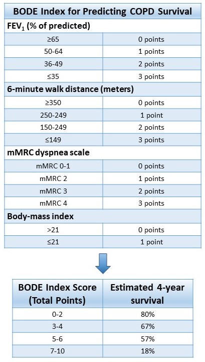 Table 4. BODE index for predicting COPD survival