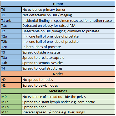 Localized Prostate Cancer Table 01 from American Joint Cancer Committee prostate cancer staging guidelines.