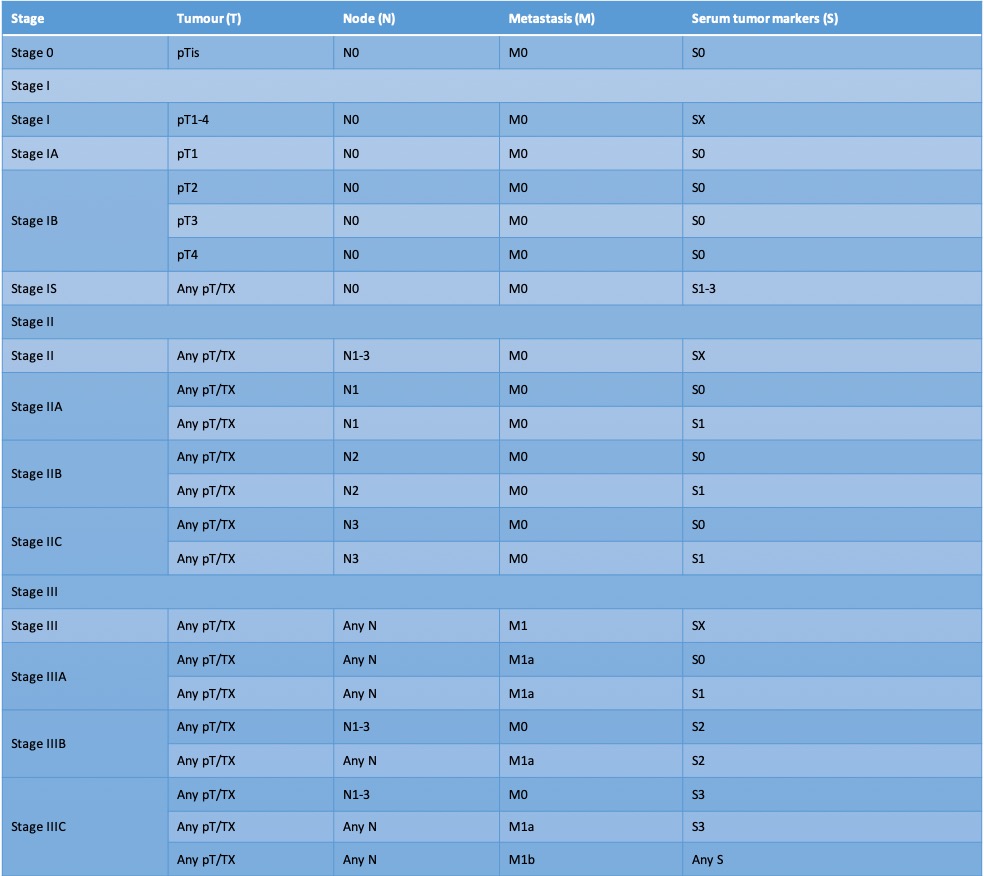 Figure showing Tumour, Node, Metastasis and Staging Table with Serum Tumor Markers.