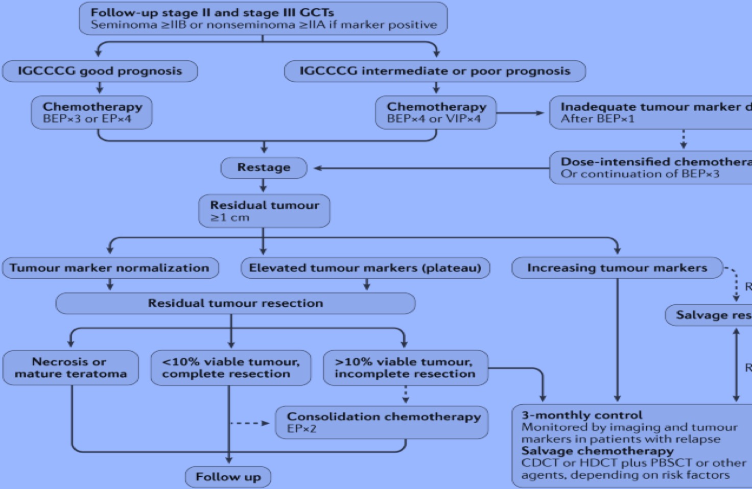 Advanced stage testicular cancer management.