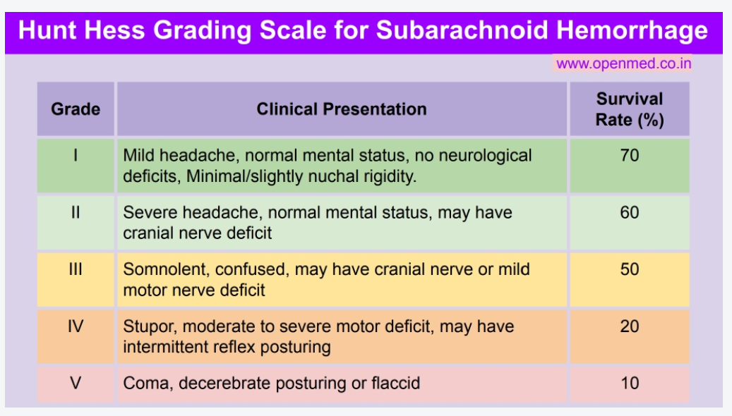 Hunt and Hess grading scale