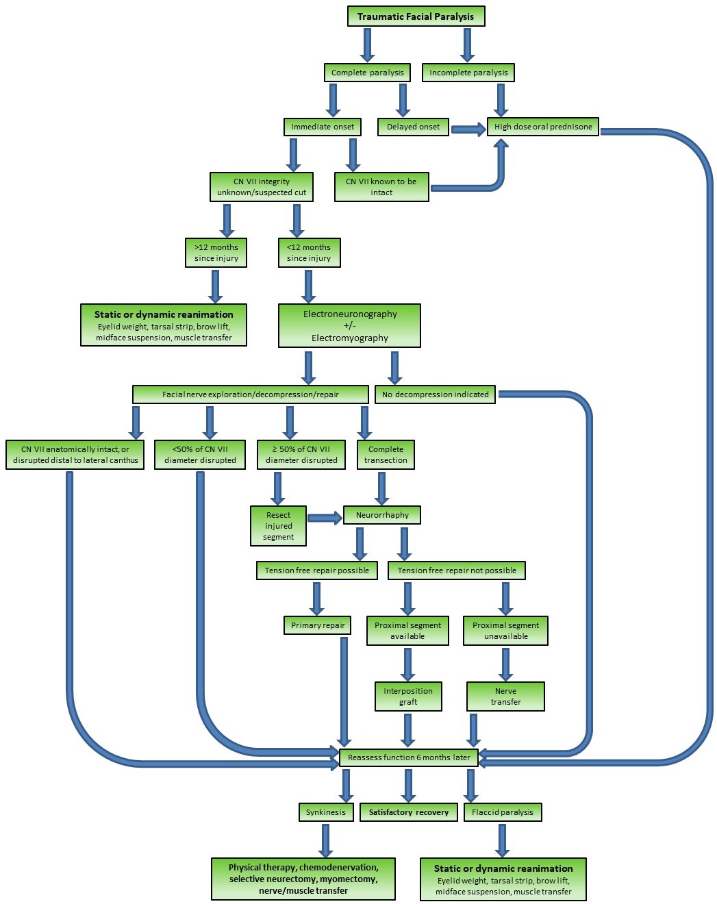 <p>Management of Traumatic Facial Paralysis&nbsp;Algorithm&nbsp;</p>