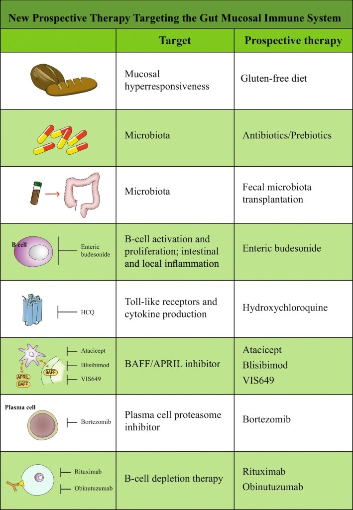 <p>New Prospective Therapy Targeting the Gut Mucosal Immune System