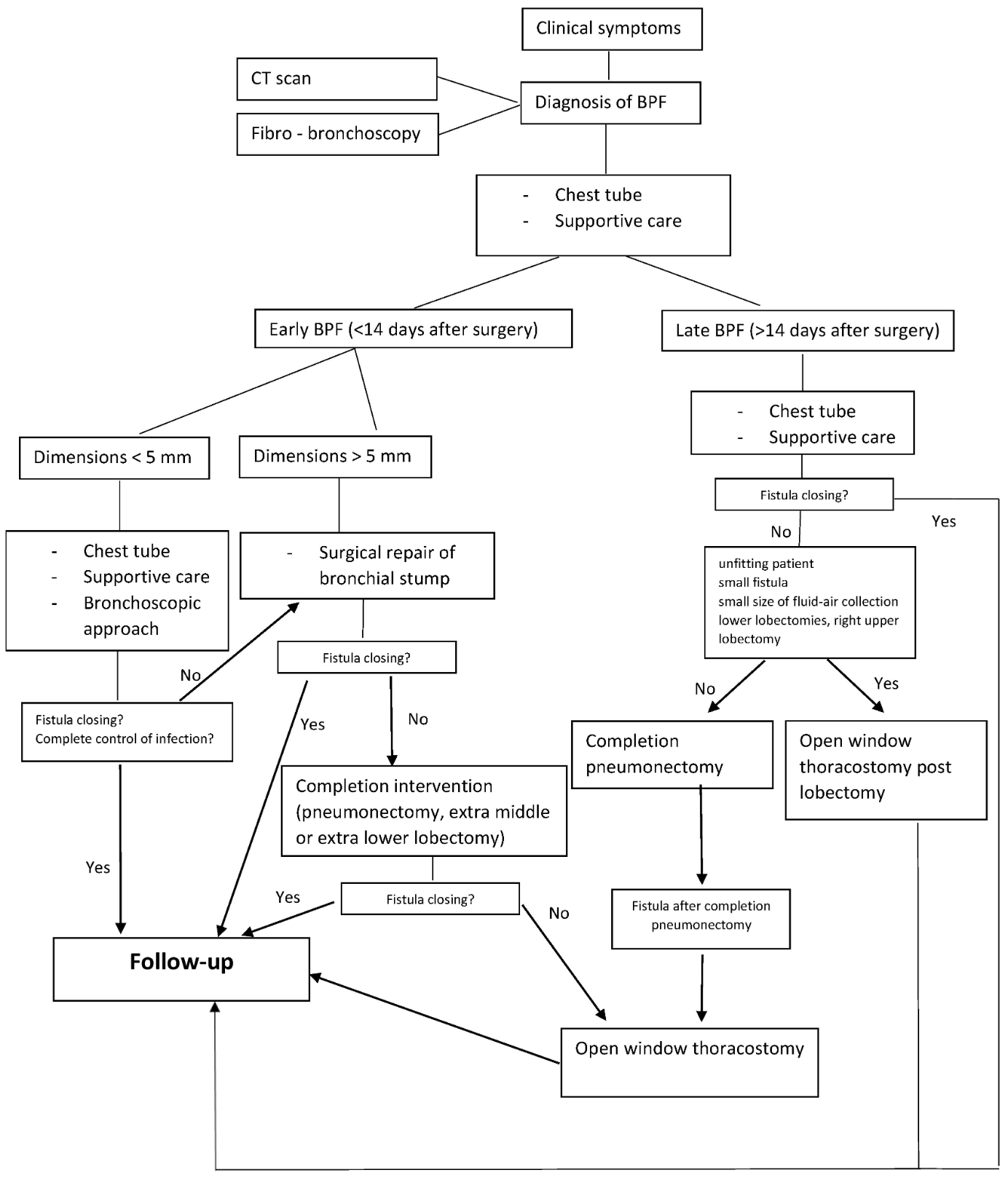 <p>European Institute of Oncology Algorithm. One management approach utilized for bronchopleural fistulas.</p>