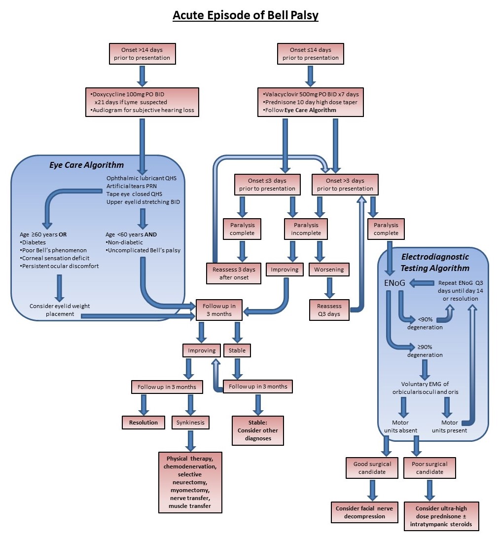 <p>Management of Acute Bell Palsy