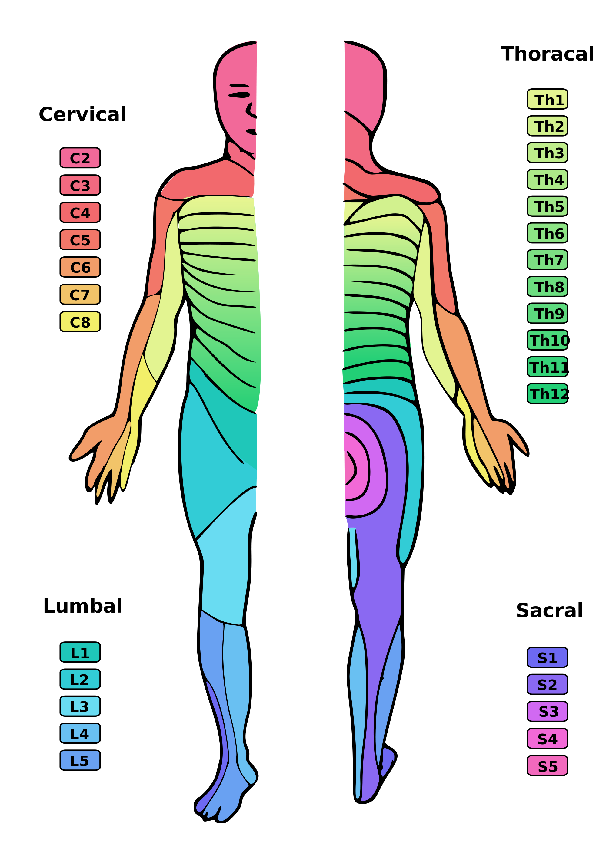 Dermatomes clearly visualized