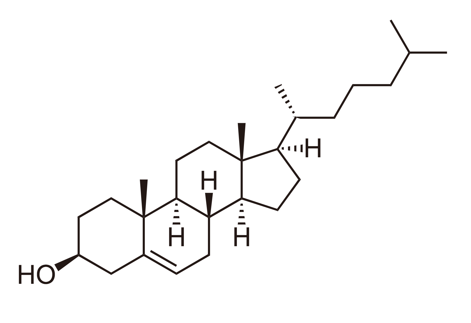 The molecular structure of cholesterol