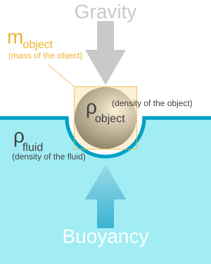 <p>Archimedes Principle