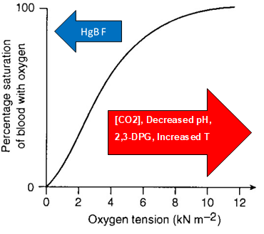 oxygen dissociation curve