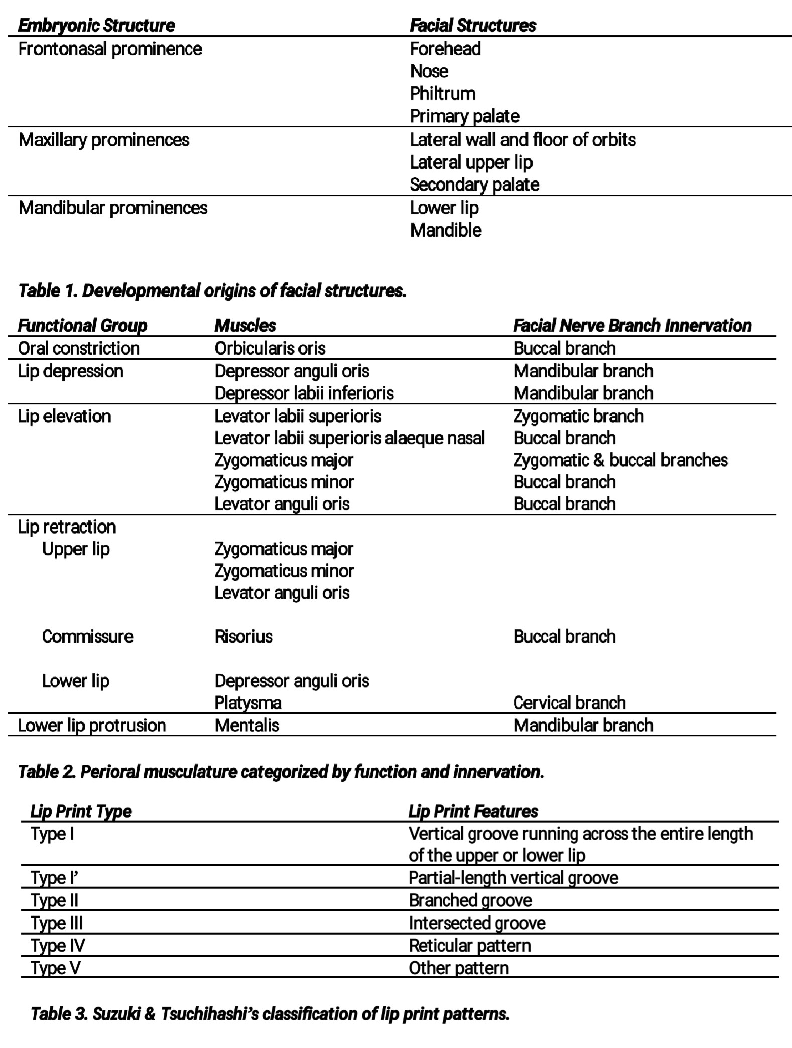 Anatomy of the Lips Tables