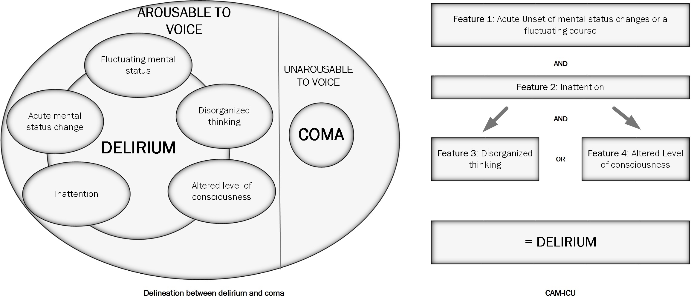 Delineation between delirium and coma and the delirium assessment tool CAM-ICU.