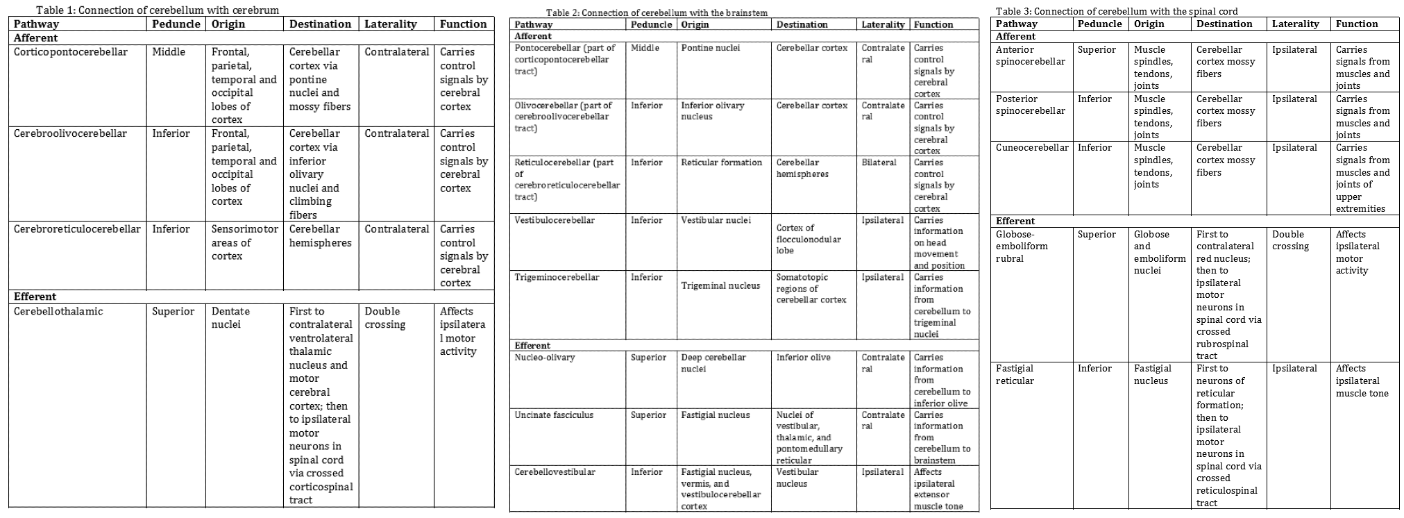 Cerebellum Tables